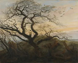 Caspar David Friedrich: Rabenbaum label QS:Lde,"Rabenbaum (Ostseeküste)"label QS:Lfr,"L'Arbre aux corbeaux (côte de la mer Baltique)"label QS:Len,"Raven tree (Coast of the Baltic Sea)"