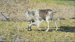 Giovanni Segantini: Een geit met haar jong