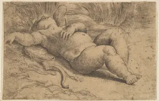 Parmigianino (Girolamo Francesco Maria Mazzola): Cupid Sleeping