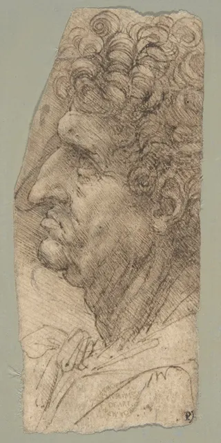 Leonardo da Vinci: Head of a Man in Profile Facing to the Left